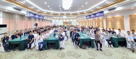 成功案例13